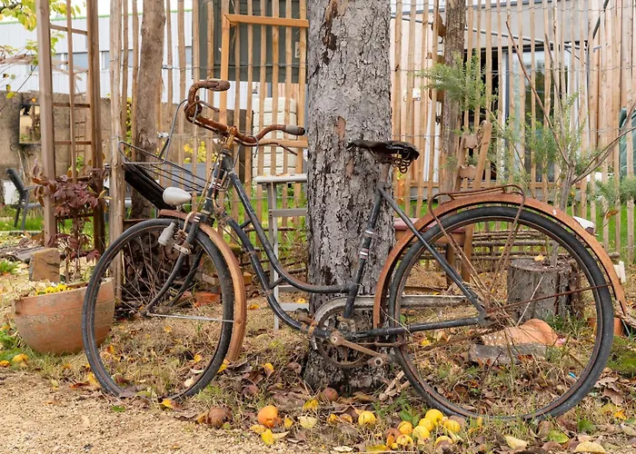 度假居 O Petit Jardin 绍莱